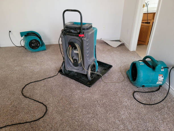 Best Residential water damage restoration  in Brockton, MA