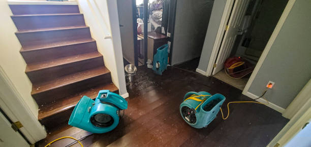 Best Ceiling water damage repair  in Brockton, MA