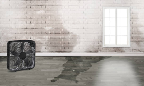 Best Residential water damage restoration  in Brockton, MA