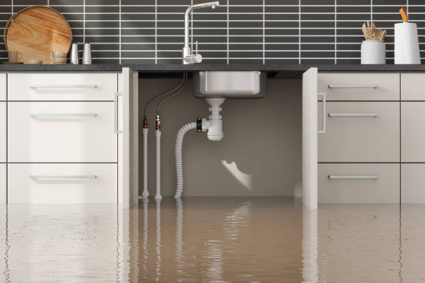 Water damage restoration mold remediation in MA