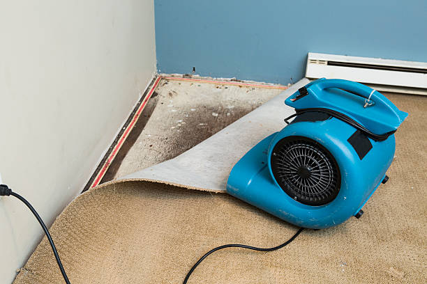 Best Local water damage restoration  in Brockton, MA